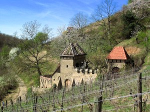 Heppenheimer Trutzburg