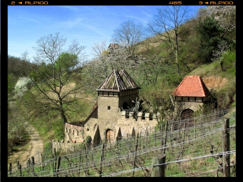 Heppenheimer Trutzburg abgerissen